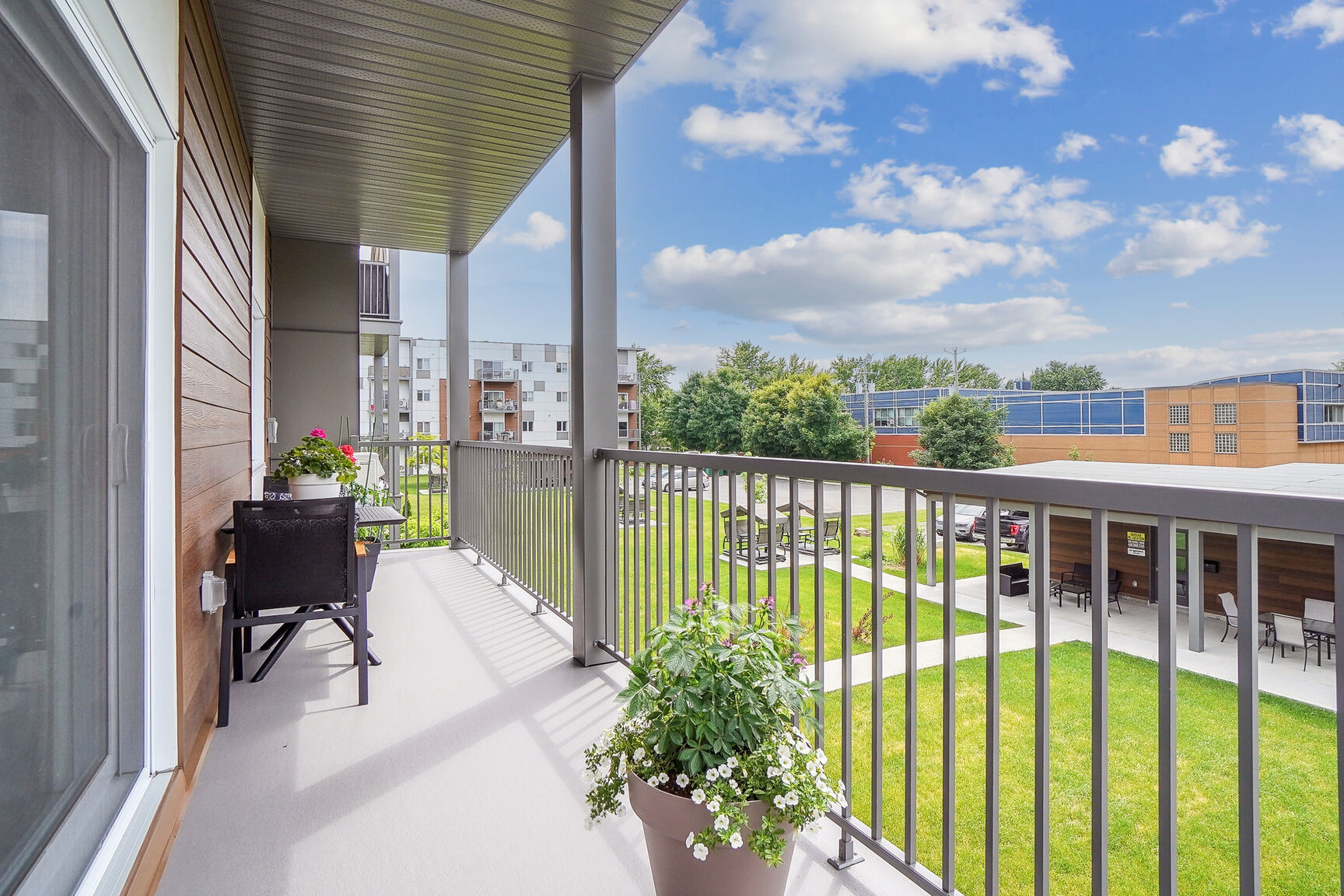 0045--012_31_DSC03565